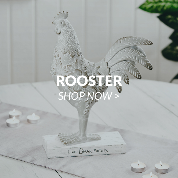 Rooster