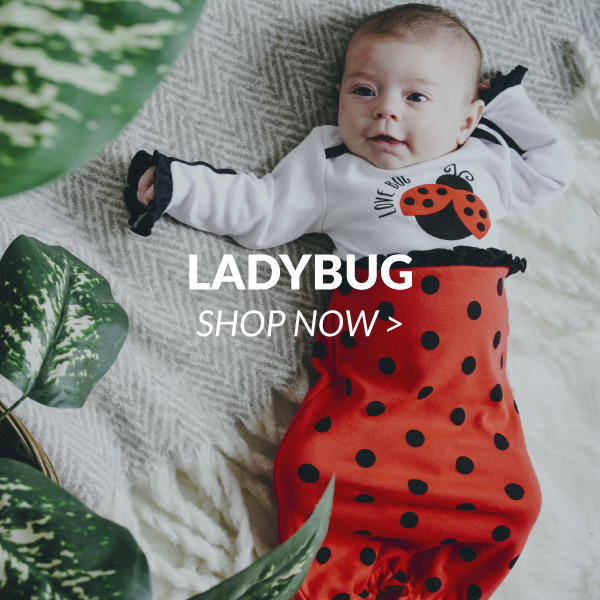 Ladybug