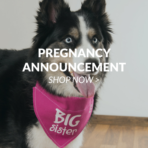 Pregnancy Announcement