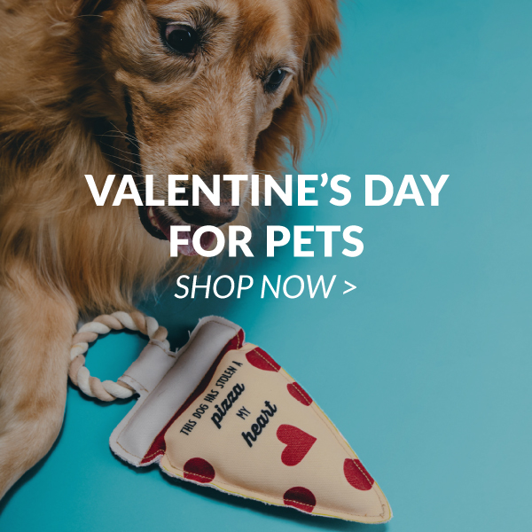 Valentine's Day For Pets