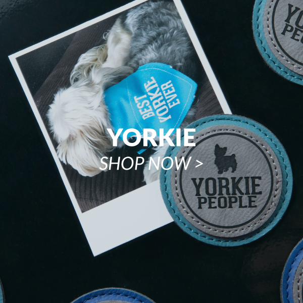 Yorkie 